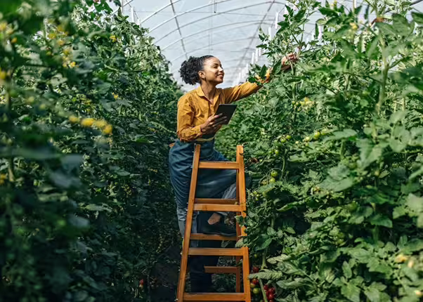Food and agriculture