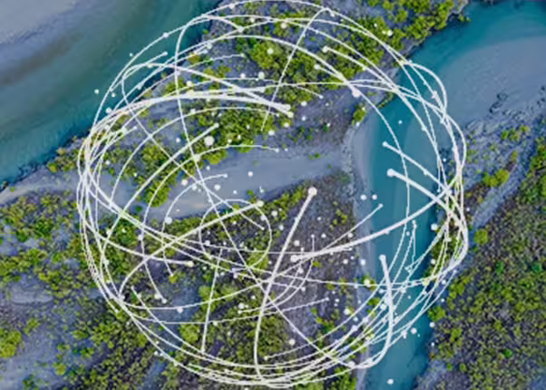 Planetary intelligence
